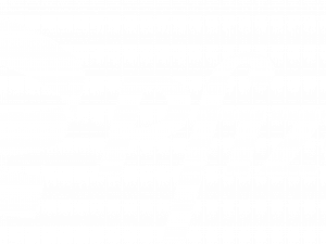 Pfizer Logo PNG