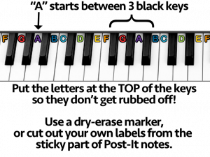 Piano Keys PNG