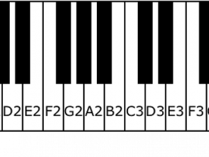 Piano Keys PNG Clipart