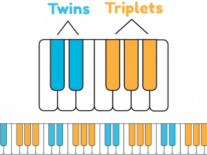 Piano Keys PNG File