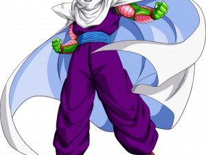 Piccolo No Background