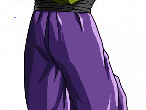 Piccolo PNG Image HD