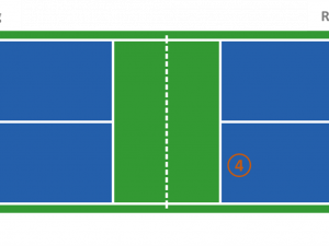 Pickleball PNG Cutout