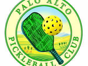 Pickleball PNG Image