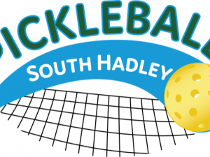 Pickleball Transparent