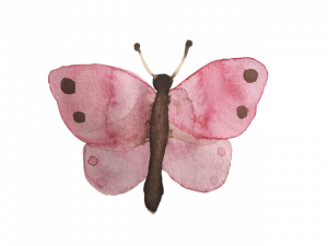 Pink Butterflies