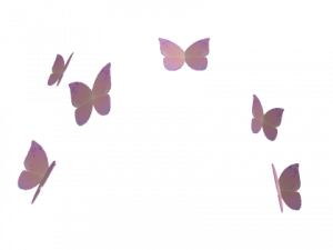 Pink Butterflies PNG Clipart