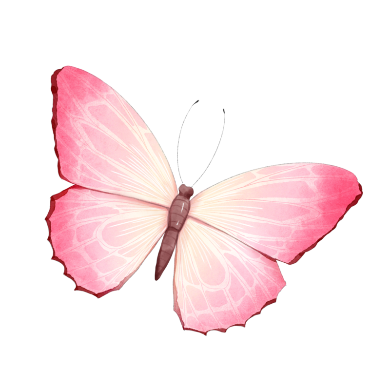 Pink Butterflies PNG File