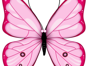 Pink Butterflies PNG HD Image