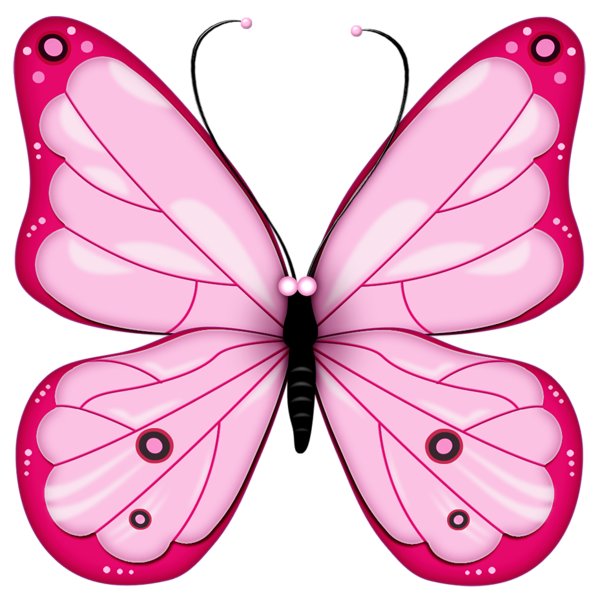 Pink Butterflies PNG HD Image