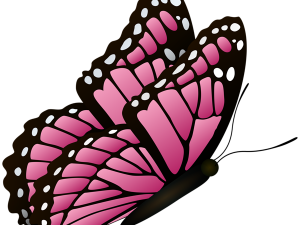 Pink Butterflies PNG Photo