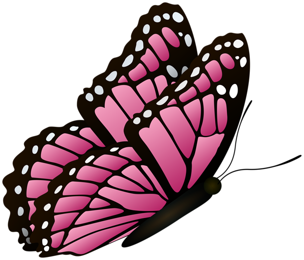 Pink Butterflies PNG Photo