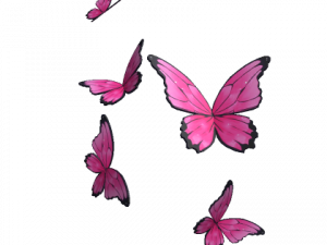 Pink Butterflies PNG Photos