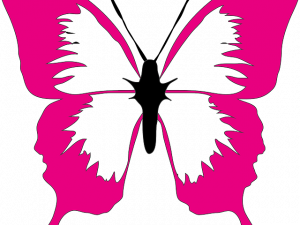 Pink Butterflies PNG Pic
