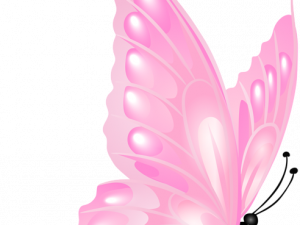 Pink Butterflies PNG Picture