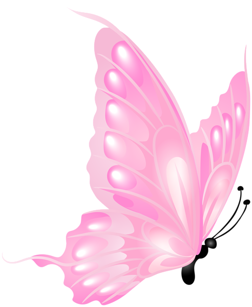 Pink Butterflies PNG Picture