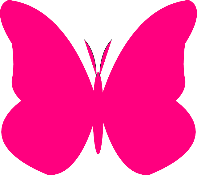 Pink Butterflies PNG