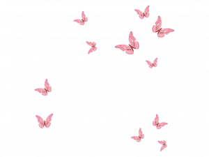 Pink Butterflies Transparent