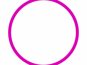 Pink Circle PNG Clipart