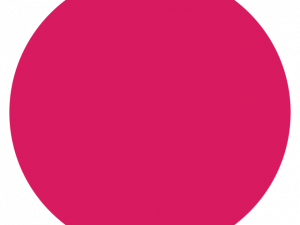 Pink Circle PNG Cutout