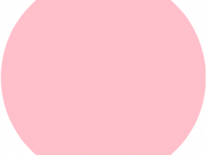 Pink Circle PNG Picture