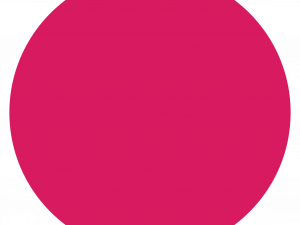 Pink Circle Transparent