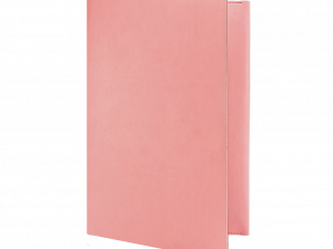 Pink Folder Background PNG