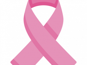 Pink Ribbon PNG Clipart