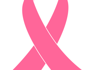 Pink Ribbon PNG Image