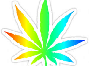 Pot Leaf PNG