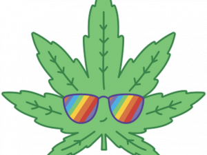 Pot Leaf PNG Cutout