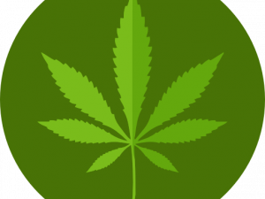 Pot Leaf PNG File