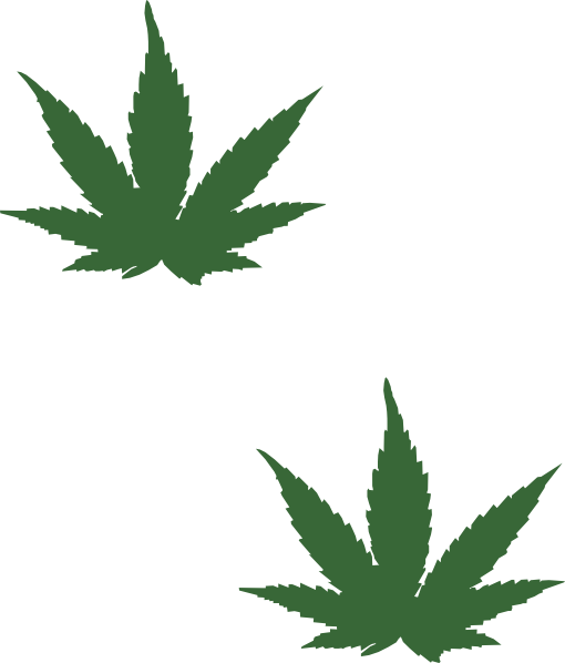 Pot Leaf PNG Free Image