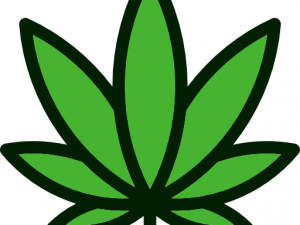 Pot Leaf PNG Images