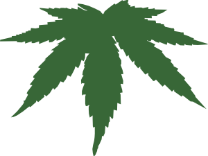 Pot Leaf PNG Images HD