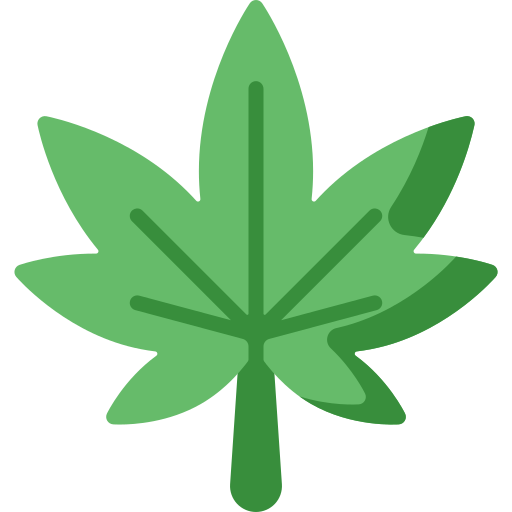 Pot Leaf PNG Pic