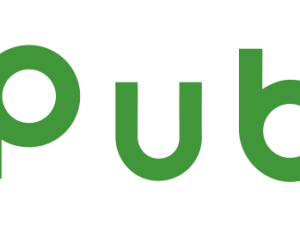 Publix Logo PNG HD Image