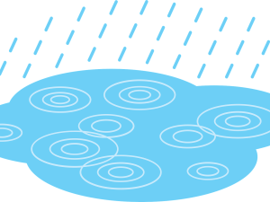 Puddle PNG File