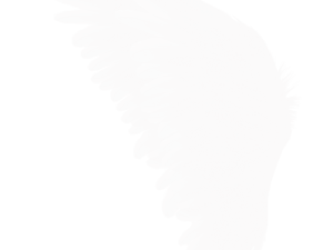 Realistic Angel Wings