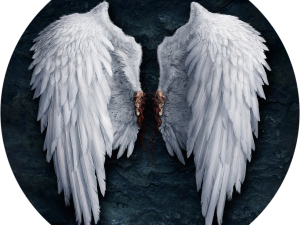 Realistic Angel Wings No Background