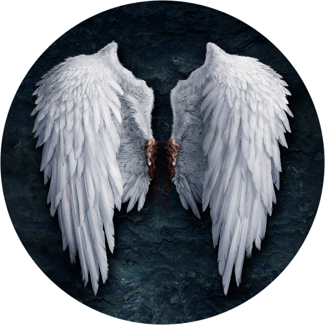 Realistic Angel Wings No Background