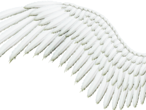 Realistic Angel Wings PNG