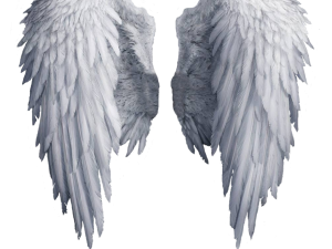 Realistic Angel Wings PNG Clipart