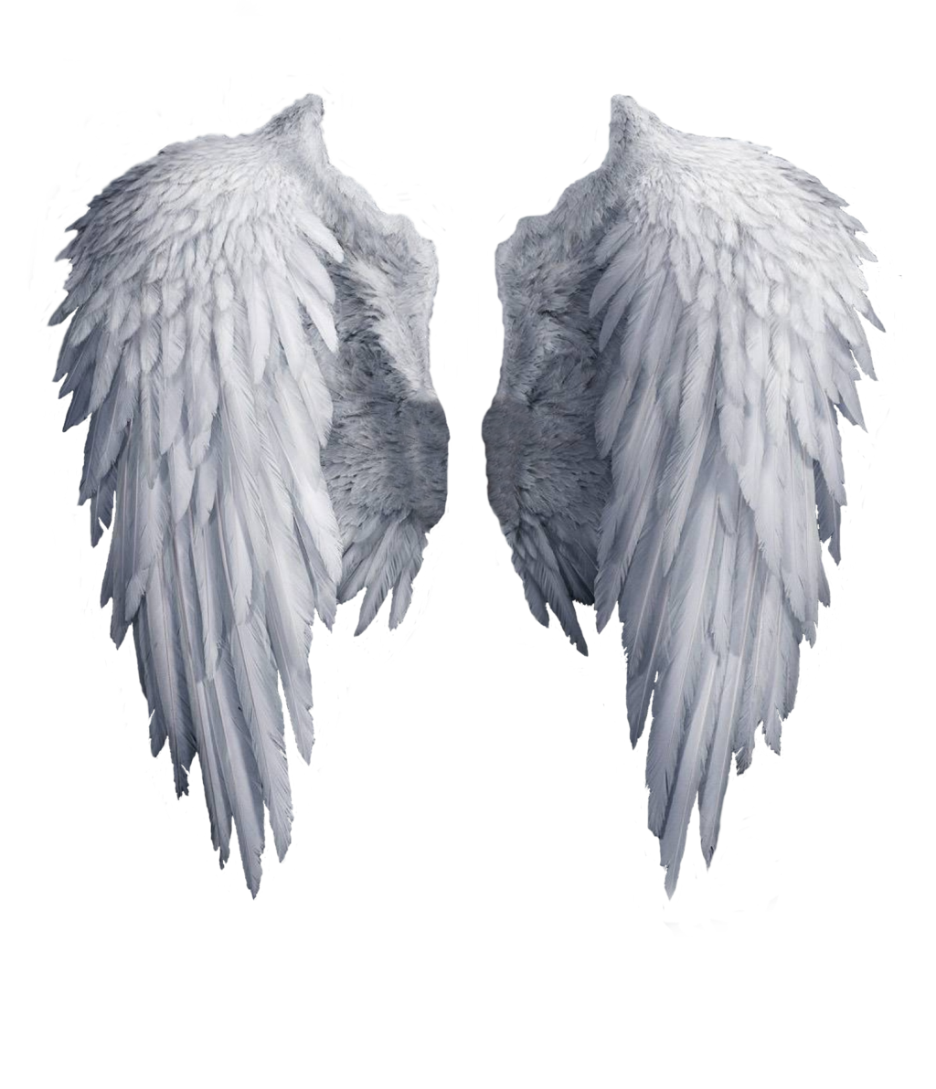 Realistic Angel Wings PNG Clipart