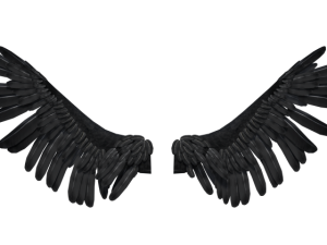 Realistic Angel Wings PNG Cutout