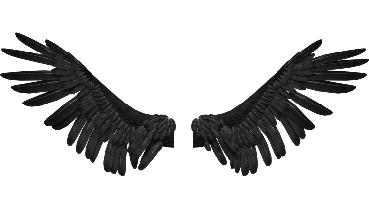 Realistic Angel Wings PNG Cutout