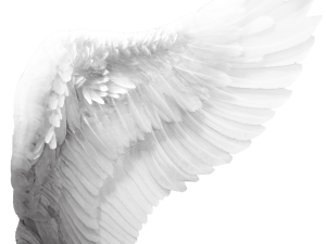 Realistic Angel Wings PNG File