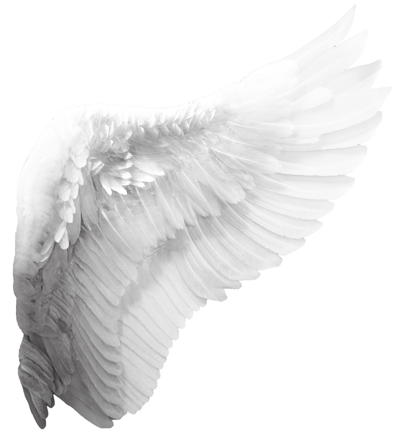 Realistic Angel Wings PNG File