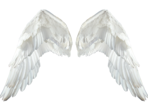 Realistic Angel Wings PNG HD Image