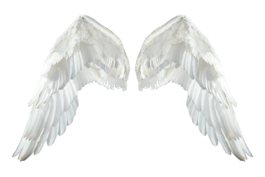 Realistic Angel Wings PNG HD Image